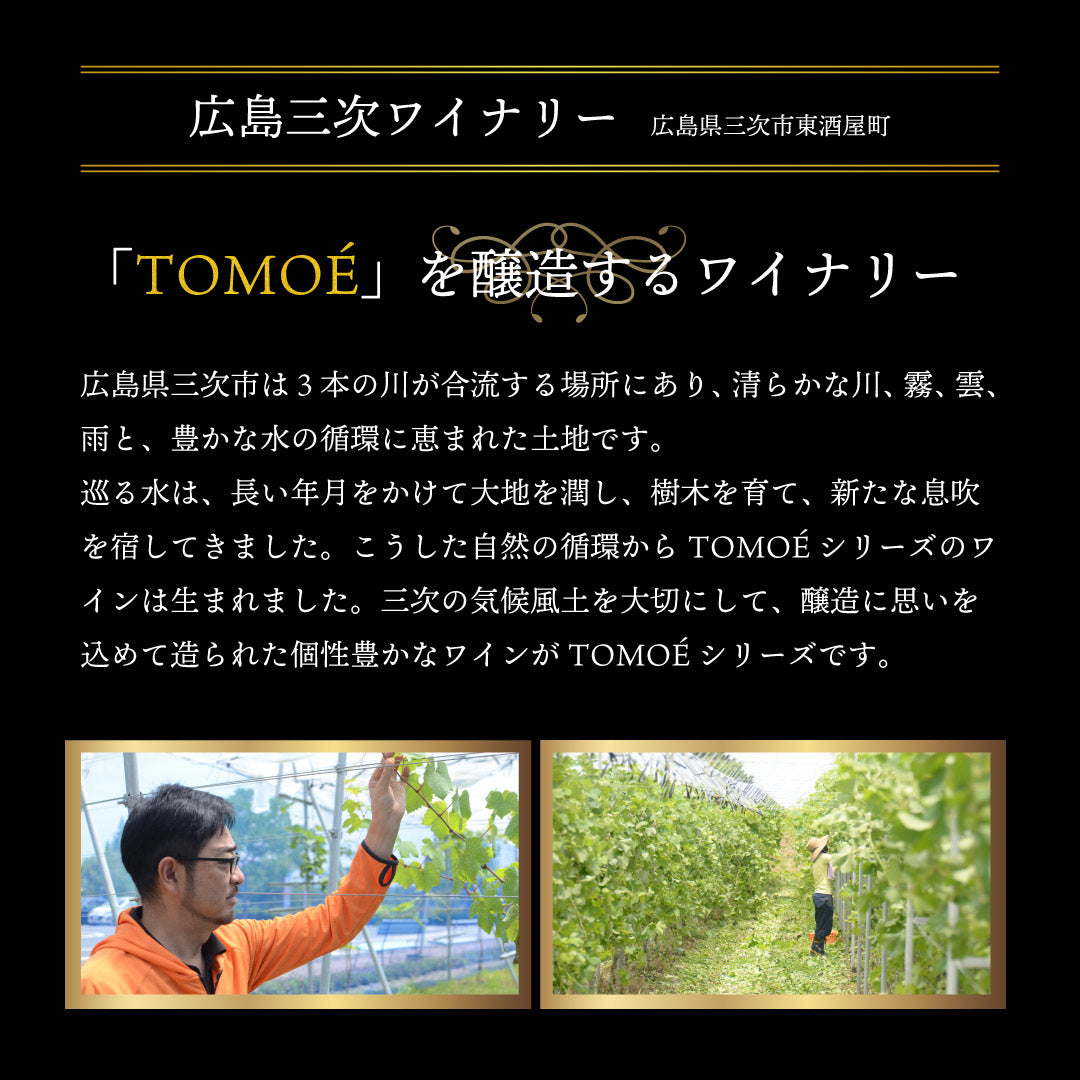 TOMOE シャルドネ・リザーブ 750ml