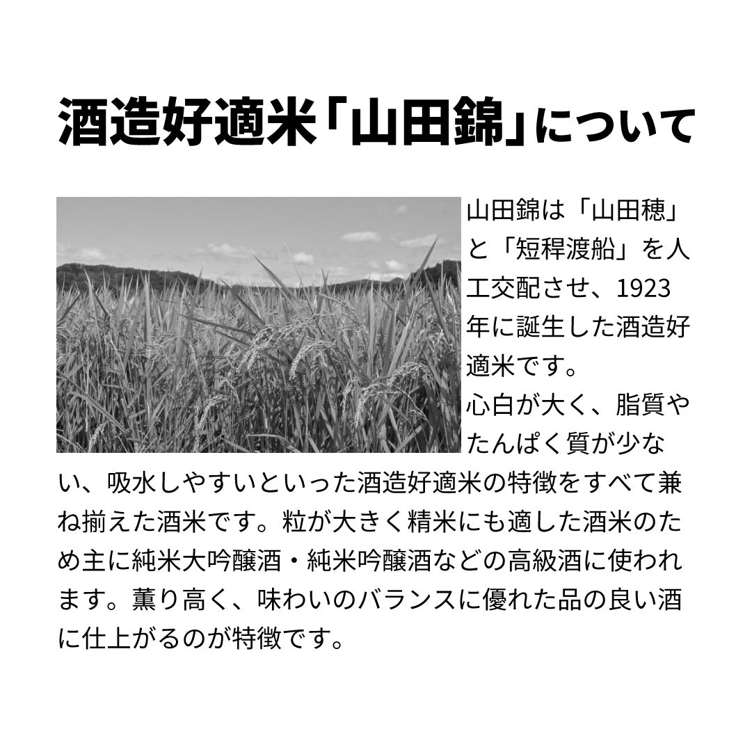 龍勢 日々綽々 山田錦 720ml