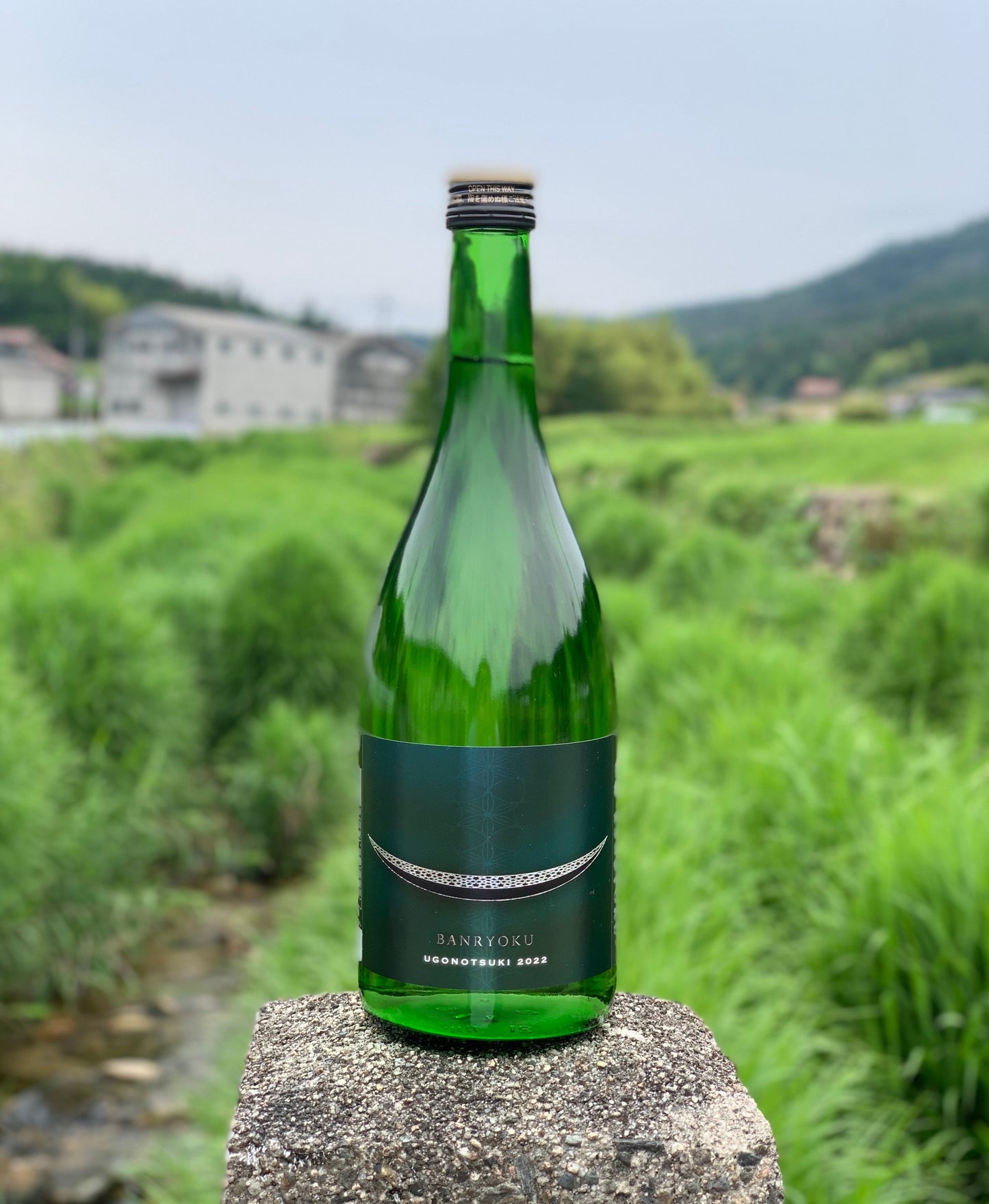 雨後の月 万緑 純米大吟醸 720ml