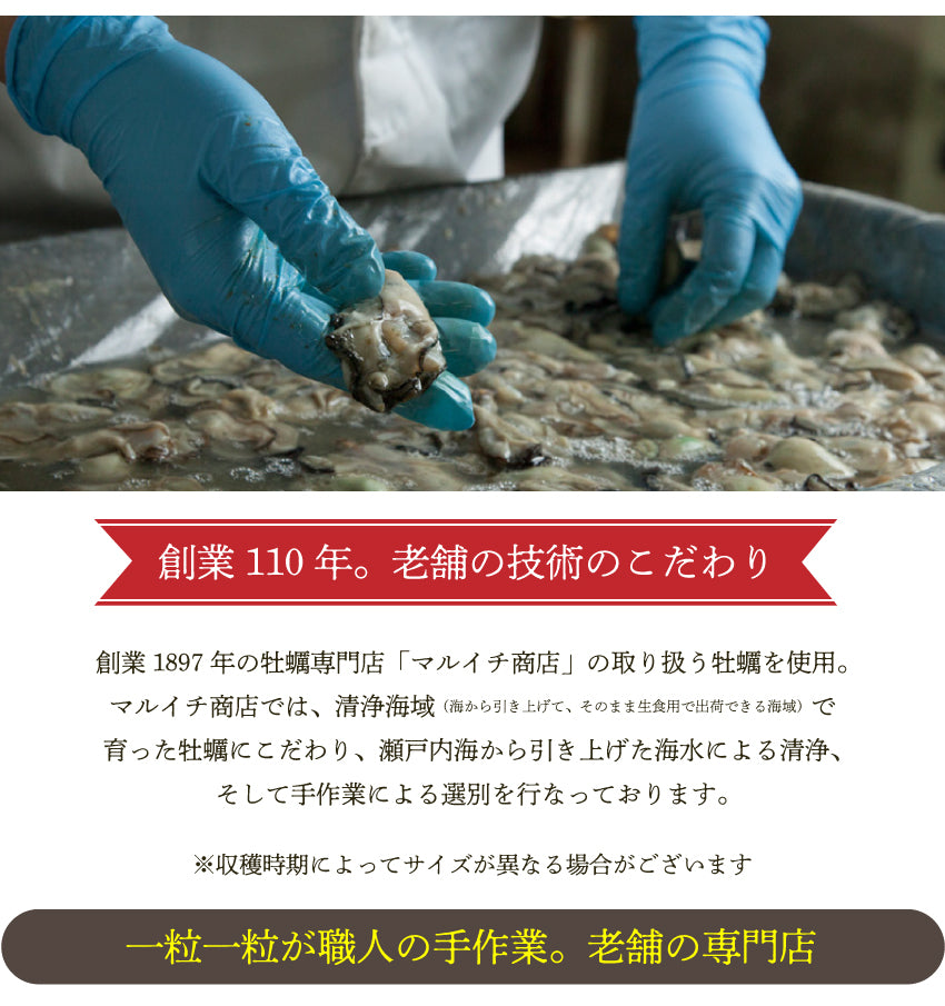 広島県産牡蠣オイル漬け 2種セット（送料無料）